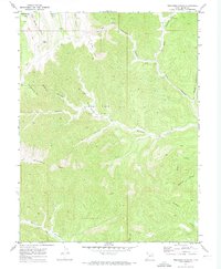 Download a high-resolution, GPS-compatible USGS topo map for Preacher Canyon, UT (1973 edition)