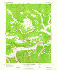 preview thumbnail of historical topo map of Duchesne County, UT in 1962