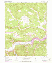 Download a high-resolution, GPS-compatible USGS topo map for Rabbit Gulch, UT (1981 edition)