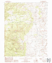Download a high-resolution, GPS-compatible USGS topo map for Raggy Canyon, UT (1988 edition)