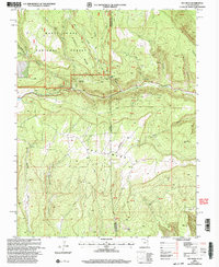 Download a high-resolution, GPS-compatible USGS topo map for Ray Mesa, UT (2004 edition)