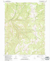 Download a high-resolution, GPS-compatible USGS topo map for Rays Valley, UT (1994 edition)