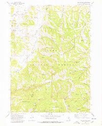 Download a high-resolution, GPS-compatible USGS topo map for Red Spur Mtn, UT (1978 edition)