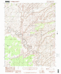 Download a high-resolution, GPS-compatible USGS topo map for Scorpion Gulch, UT (1995 edition)