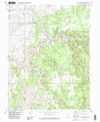 Download a high-resolution, GPS-compatible USGS topo map for Sids Mountain, UT (1983 edition)