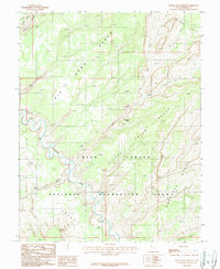 Download a high-resolution, GPS-compatible USGS topo map for Silver Falls Bench, UT (1987 edition)
