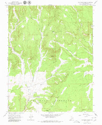 Download a high-resolution, GPS-compatible USGS topo map for Skutumpah Creek, UT (1980 edition)