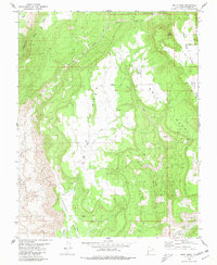 Download a high-resolution, GPS-compatible USGS topo map for Smith Mesa, UT (1980 edition)