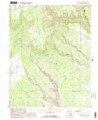 Download a high-resolution, GPS-compatible USGS topo map for South Long Point, UT (1985 edition)