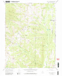 Download a high-resolution, GPS-compatible USGS topo map for South Tent Mountain, UT (1980 edition)