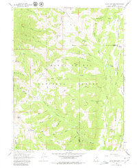 Download a high-resolution, GPS-compatible USGS topo map for South Tent Mtn, UT (1980 edition)