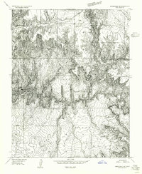 Download a high-resolution, GPS-compatible USGS topo map for Springdale NE, UT (1956 edition)