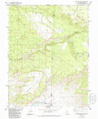Download a high-resolution, GPS-compatible USGS topo map for Steamboat Mesa, UT (1986 edition)