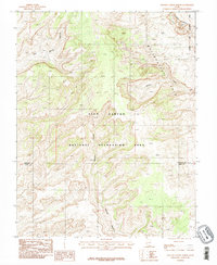 Download a high-resolution, GPS-compatible USGS topo map for Stevens Canyon North, UT (1987 edition)