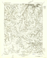 Download a high-resolution, GPS-compatible USGS topo map for Stinking Spring Creek 1 NE, UT (1954 edition)