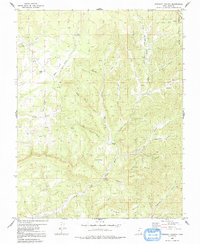 Download a high-resolution, GPS-compatible USGS topo map for Straight Canyon, UT (1991 edition)