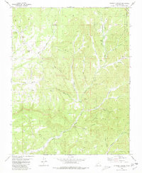 Download a high-resolution, GPS-compatible USGS topo map for Straight Canyon, UT (1980 edition)