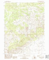 Download a high-resolution, GPS-compatible USGS topo map for Temple Mountain, UT (1988 edition)