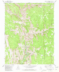 Download a high-resolution, GPS-compatible USGS topo map for Temple of Sinawava, UT (1980 edition)