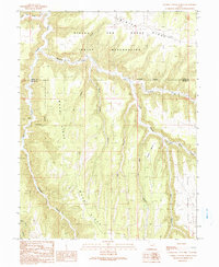 Download a high-resolution, GPS-compatible USGS topo map for Tenmile Canyon North, UT (1991 edition)