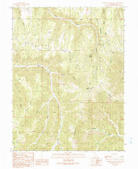 Download a high-resolution, GPS-compatible USGS topo map for Tenmile Canyon South, UT (1991 edition)