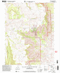 Download a high-resolution, GPS-compatible USGS topo map for The Cap, UT (2004 edition)