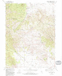 Download a high-resolution, GPS-compatible USGS topo map for Tickville Spring, UT (1993 edition)