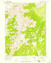 Download a high-resolution, GPS-compatible USGS topo map for Tintic Mountain, UT (1958 edition)