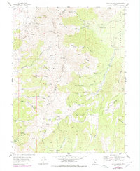 Download a high-resolution, GPS-compatible USGS topo map for Tintic Mountain, UT (1984 edition)