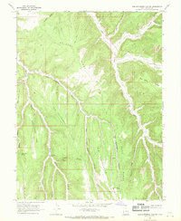 Download a high-resolution, GPS-compatible USGS topo map for Tom Patterson Canyon, UT (1970 edition)