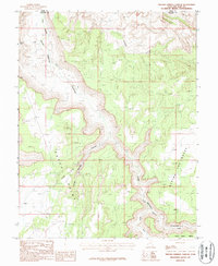 Download a high-resolution, GPS-compatible USGS topo map for Trough Springs Canyon, UT (1987 edition)