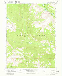 Download a high-resolution, GPS-compatible USGS topo map for Tworoose Pass, UT (1980 edition)