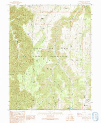 Download a high-resolution, GPS-compatible USGS topo map for Walker Point, UT (1991 edition)