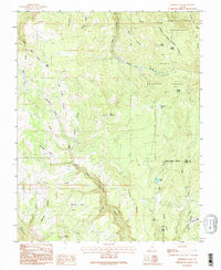 Download a high-resolution, GPS-compatible USGS topo map for Webster Flat, UT (1995 edition)