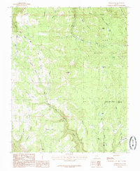 Download a high-resolution, GPS-compatible USGS topo map for Webster Flat, UT (1985 edition)