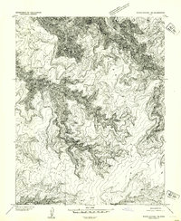 Download a high-resolution, GPS-compatible USGS topo map for White Canyon 1 NE, UT (1954 edition)