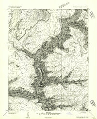 Download a high-resolution, GPS-compatible USGS topo map for White Canyon 1 NW, UT (1954 edition)