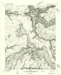 Download a high-resolution, GPS-compatible USGS topo map for White Canyon 1 SW, UT (1954 edition)