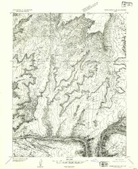 Download a high-resolution, GPS-compatible USGS topo map for White Canyon 2 NE, UT (1954 edition)