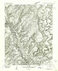 Download a high-resolution, GPS-compatible USGS topo map for White Canyon 2 NW, UT (1954 edition)