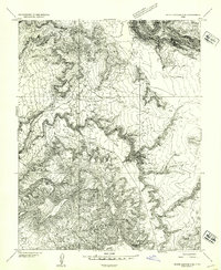 Download a high-resolution, GPS-compatible USGS topo map for White Canyon 2 SE, UT (1954 edition)