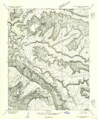 Download a high-resolution, GPS-compatible USGS topo map for White Canyon 4 NW, UT (1954 edition)