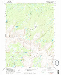 Download a high-resolution, GPS-compatible USGS topo map for Whiterocks Lake, UT (1995 edition)