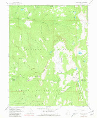 Download a high-resolution, GPS-compatible USGS topo map for Woods Lake, UT (1981 edition)