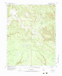 Download a high-resolution, GPS-compatible USGS topo map for Bears Ears, UT (1984 edition)