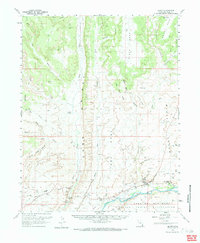 Download a high-resolution, GPS-compatible USGS topo map for Bluff, UT (1984 edition)
