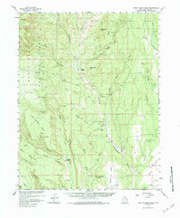 Download a high-resolution, GPS-compatible USGS topo map for Brushy Basin Wash, UT (1984 edition)