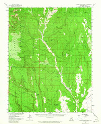 Download a high-resolution, GPS-compatible USGS topo map for Brushy Basin Wash, UT (1964 edition)