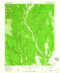 Download a high-resolution, GPS-compatible USGS topo map for Brushy Basin Wash, UT (1960 edition)