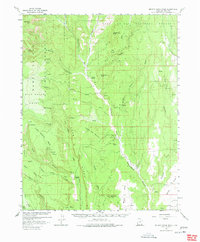 Download a high-resolution, GPS-compatible USGS topo map for Brushy Basin Wash, UT (1978 edition)
